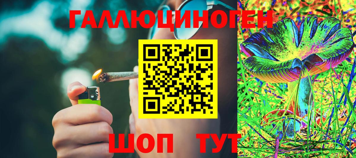 Галлюциногенные грибы прущие грибы  Вход с VPN  Чусовой 