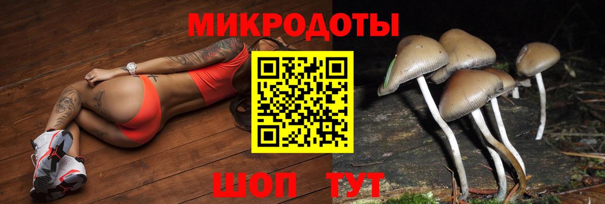 Псилоцибиновые грибы мухоморы Чусовой